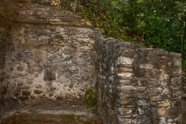 Coba, Meksika, Yucatan: Arkeoloji kompleksi, kalıntıları ve Antik Maya şehirde piramitleri.