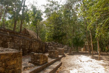 Coba, Meksika, Yucatan: Arkeoloji kompleksi, kalıntıları ve Antik Maya şehirde piramitleri.
