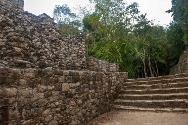Adımları piramit. Ormanlarda, Maya Piramit kalıntıları. Coba. Meksika Yucatan. Coba bir arkeolojik alan ve Yucatan Yarımadası'nın ünlü bir dönüm noktası olduğunu.