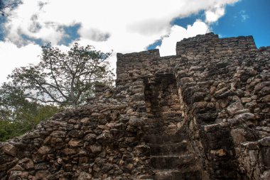 Coba, Meksika, Yucatan: Arkeoloji kompleksi, kalıntıları ve Antik Maya şehirde piramitleri.