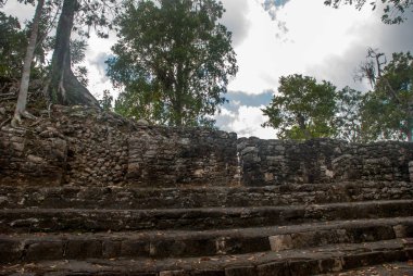 Ormanlarda, Maya piramit kalıntıları. Coba. Meksika Yucatan. Coba bir arkeolojik alan ve Yucatan Yarımadası'nın ünlü bir dönüm noktası olduğunu.