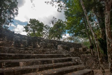 Adımları piramit. Ormanlarda, Maya Piramit kalıntıları. Coba. Meksika Yucatan. Coba bir arkeolojik alan ve Yucatan Yarımadası'nın ünlü bir dönüm noktası olduğunu.