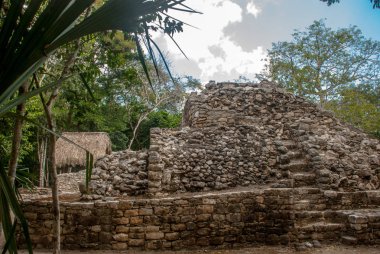 Ormanlarda, Maya piramit kalıntıları. Coba. Meksika Yucatan. Coba bir arkeolojik alan ve Yucatan Yarımadası'nın ünlü bir dönüm noktası olduğunu.