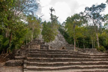 Ormanlarda, Maya piramit kalıntıları. Coba. Meksika Yucatan. Coba bir arkeolojik alan ve Yucatan Yarımadası'nın ünlü bir dönüm noktası olduğunu.