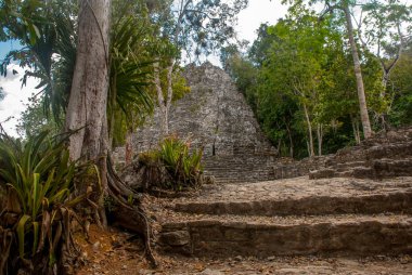 Coba, etkileyici taş piramitleri birini Harabeleri Antik Maya kentin Yucatan, Meksika için.