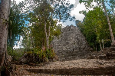 Coba, etkileyici taş piramitleri birini Harabeleri Antik Maya kentin Yucatan, Meksika için.