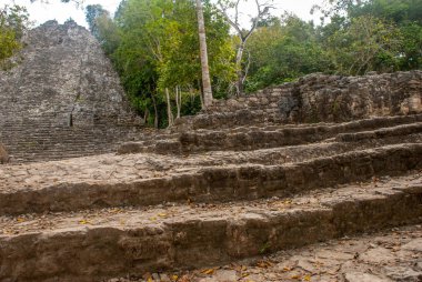 Coba, etkileyici taş piramitleri birini Harabeleri Antik Maya kentin Yucatan, Meksika için.