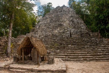 Coba, etkileyici taş piramitleri birini Harabeleri Antik Maya kentin Yucatan, Meksika için.