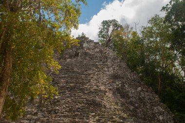 Ormanlarda, Maya piramit kalıntıları. Coba. Meksika Yucatan. Coba bir arkeolojik alan ve Yucatan Yarımadası'nın ünlü bir dönüm noktası olduğunu.