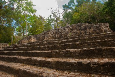 Coba, Meksika, Yucatan: Piramit adımları. Arkeoloji kompleksi, kalıntıları ve Antik Maya şehir piramitleri.