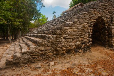 Coba, Meksika, Yucatan: Piramit giriş. Arkeoloji kompleksi, kalıntıları ve Antik Maya şehir piramitleri.