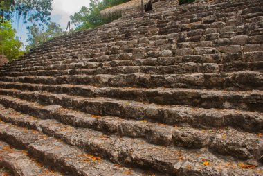 Coba, Meksika, Yucatan: Piramit adımları. Arkeoloji kompleksi, kalıntıları ve Antik Maya şehir piramitleri.