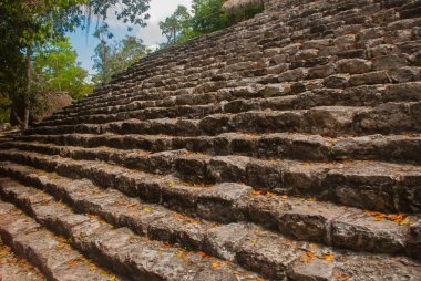 Coba, Meksika, Yucatan: Arkeoloji kompleksi, kalıntıları ve Antik Maya şehirde piramitleri.