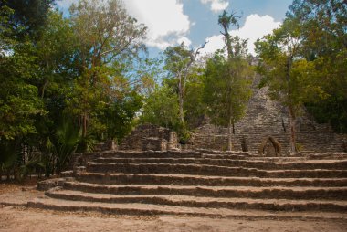 Ormanlarda, Maya piramit kalıntıları. Coba. Meksika Yucatan. Coba bir arkeolojik alan ve Yucatan Yarımadası'nın ünlü bir dönüm noktası olduğunu.