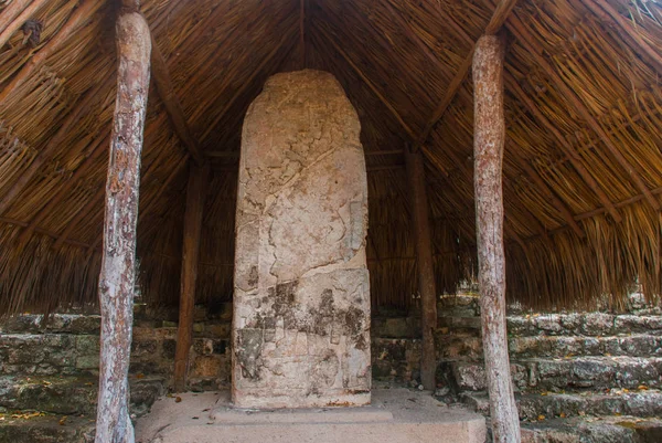 Yazıtlar ve çizimler Maya taş üzerinde büyük plakalı. Coba, Meksika, Yucatan. Arkeoloji kompleksi, kalıntıları ve Antik Maya şehir piramitleri.