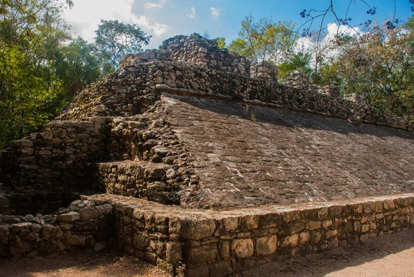 Coba Meksika Yucatan Arkeoloji Kompleksi Kalıntıları Antik Maya Şehirde Piramitleri — Stok fotoğraf