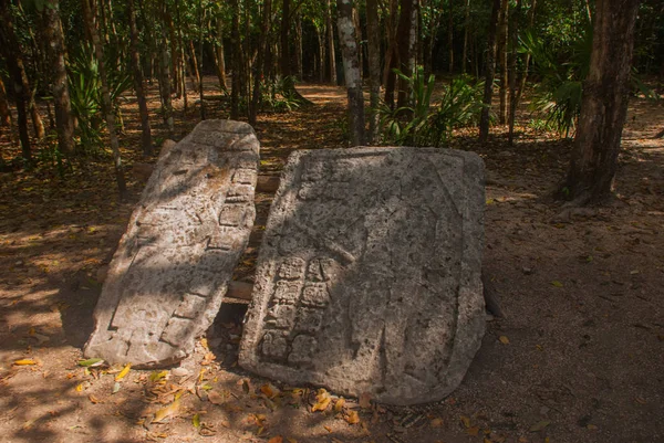 Bilder Stenen Forntida Maya Coba Mexiko Yucatan Arkeologiskt Komplex Ruiner — Stockfoto