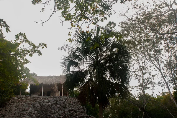 Coba Mexico Yucatan Archaeological Complex Ruins Pyramids Ancient Mayan City — Stock Photo, Image