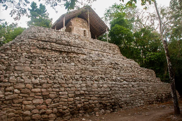 Pirâmide Maia Coba Maias Antigas Cidade México México Yucatán — Fotografia de Stock