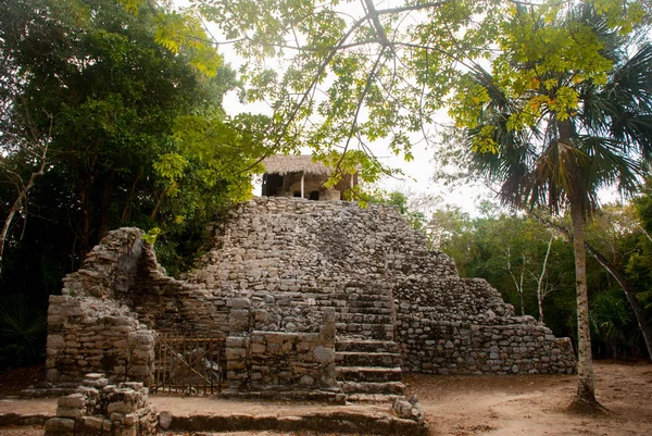 Coba Maya piramit. Eski Mayalar Mexico City'de. Meksika, Yucatan.