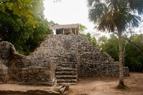 Mayské Pyramidy Coba Starověcí Mayové Mexico City Mexiko Yucatan — Stock fotografie
