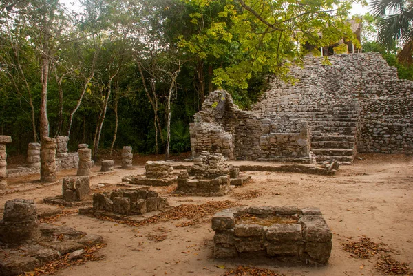 Coba 是一个考古区 也是尤卡坦半岛著名的地标 墨西哥 尤卡坦半岛 墨西哥金字塔周围的森林 — 图库照片