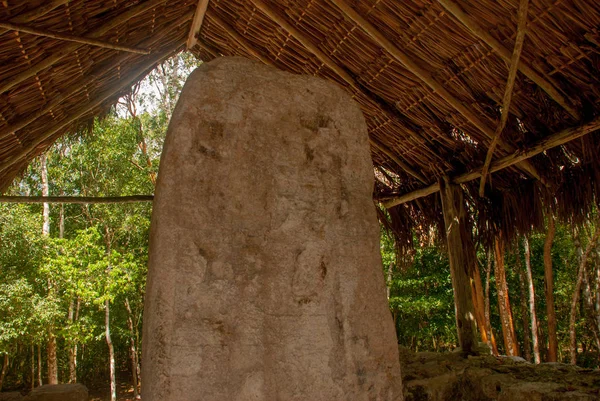 Obrazy Kamień Majów Coba Meksyk Yucatan Kompleksu Archeologicznego Ruiny Piramidy — Zdjęcie stockowe