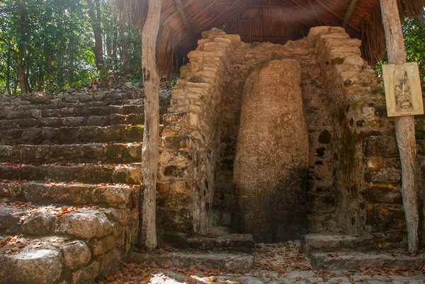 古代マヤの石の上の画像 メキシコのユカタン半島 考古学的な複合体 遺跡や古代マヤ都市のピラミッド — ストック写真