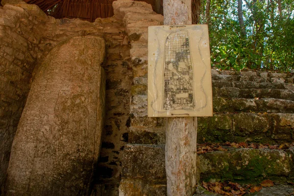 Placa Enorme Com Inscrições Desenhos Pedra Maia Coba México Yucatan — Fotografia de Stock