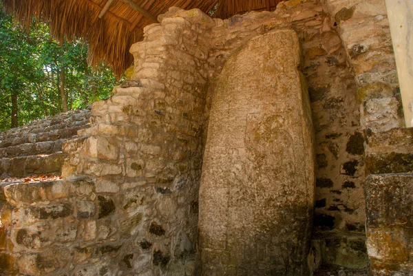 Antik Maya taştan görüntüler. Coba, Meksika, Yucatan. Arkeoloji kompleksi, kalıntıları ve antik Maya şehir piramitleri.