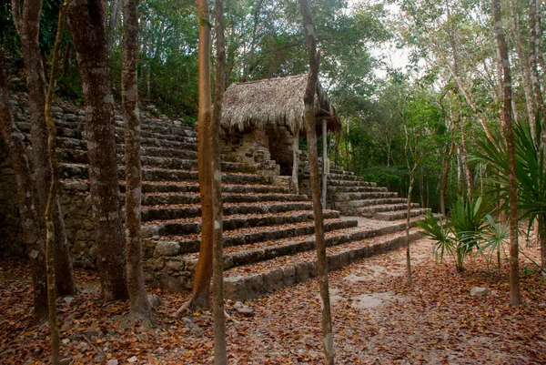 Coba México Yucatán Complejo Arqueológico Ruinas Pirámides Antigua Ciudad Maya — Foto de Stock