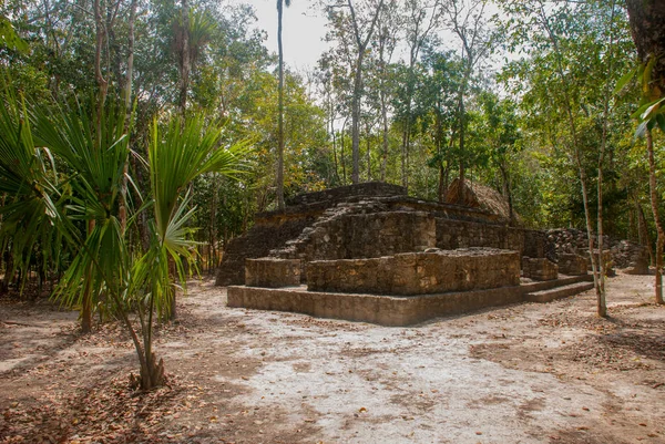 Coba Meksyk Yucatan Ruiny Kompleksu Archeologicznego Piramidy Starożytnym Mieście Majów — Zdjęcie stockowe