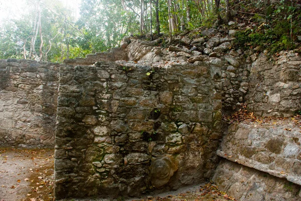 Coba 墨西哥 尤卡坦半岛 古代玛雅城市的考古建筑群 废墟和金字塔 — 图库照片