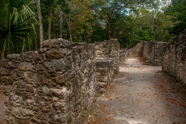 Coba Mexiko Yucatan Arkeologiskt Komplex Ruiner Och Pyramiderna Forntida Maya — Stockfoto