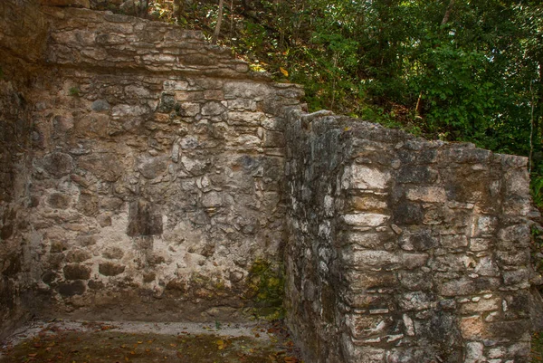 Coba, Meksika, Yucatan: Arkeoloji kompleksi, kalıntıları ve Antik Maya şehirde piramitleri.