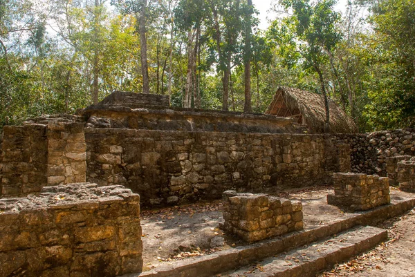 Coba Mexikó Ősi Maja Város Mexikóban Coba Egy Régészeti Terület — Stock Fotó