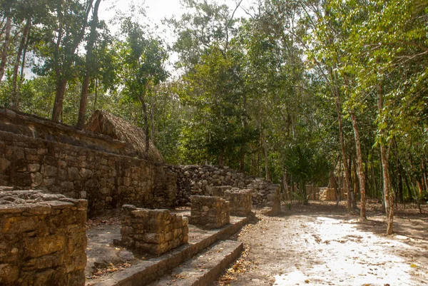 Coba, Meksika, Yucatan: Arkeoloji kompleksi, kalıntıları ve Antik Maya şehirde piramitleri.