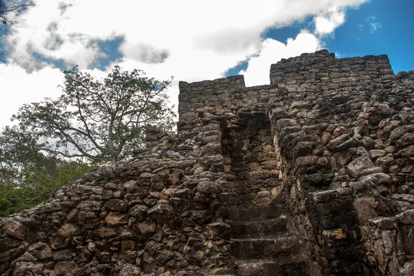 Coba, Meksika, Yucatan: Arkeoloji kompleksi, kalıntıları ve Antik Maya şehirde piramitleri.