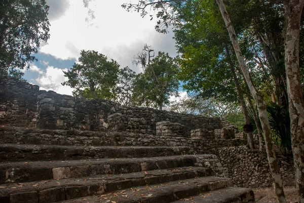 Adımları piramit. Ormanlarda, Maya Piramit kalıntıları. Coba. Meksika Yucatan. Coba bir arkeolojik alan ve Yucatan Yarımadası'nın ünlü bir dönüm noktası olduğunu.