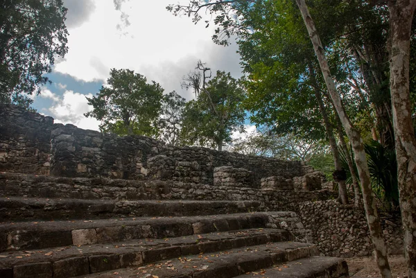 金字塔的台阶 丛林里的玛雅金字塔遗址科巴墨西哥 尤卡坦 科巴是一个考古区 也是尤卡坦半岛著名的地标 — 图库照片