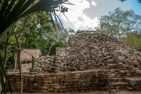 Ormanlarda Maya Piramit Kalıntıları Coba Meksika Yucatan Coba Bir Arkeolojik — Stok fotoğraf