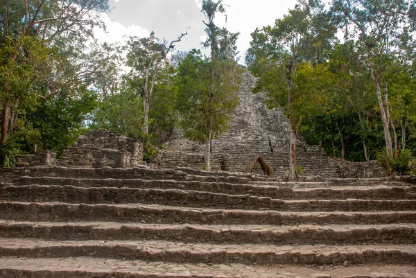 One Impressive Stone Pyramids Coba Ruins Ancient Mayan City Yucatan — Stock Photo, Image