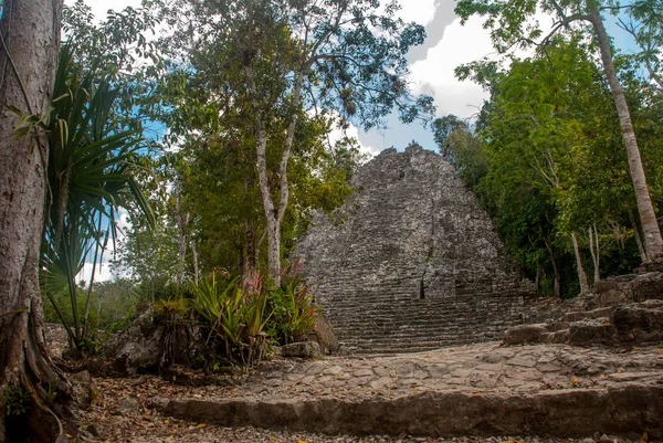 Una Las Impresionantes Pirámides Piedra Coba Ruinas Antigua Ciudad Maya —  Fotos de Stock