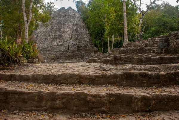 One Impressive Stone Pyramids Coba Ruins Ancient Mayan City Yucatan — Stock Photo, Image