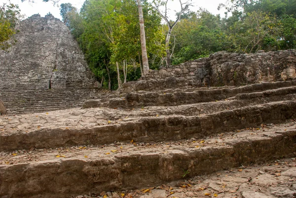 Une Des Impressionnantes Pyramides Pierre Coba Ruines Ancienne Ville Maya — Photo