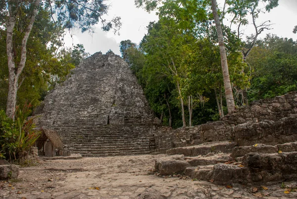Coba, etkileyici taş piramitleri birini Harabeleri Antik Maya kentin Yucatan, Meksika için.