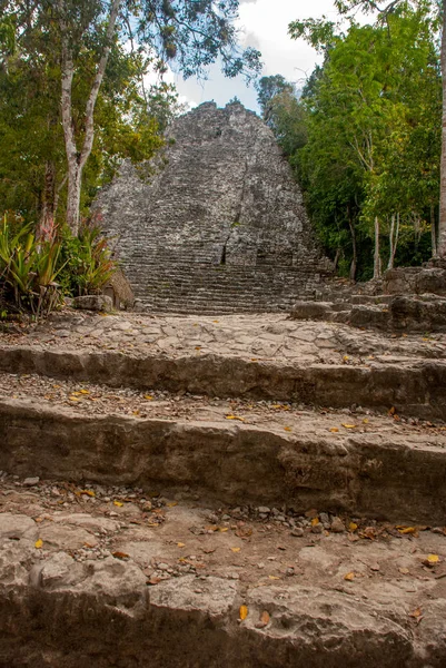 Una Las Impresionantes Pirámides Piedra Coba Ruinas Antigua Ciudad Maya — Foto de Stock