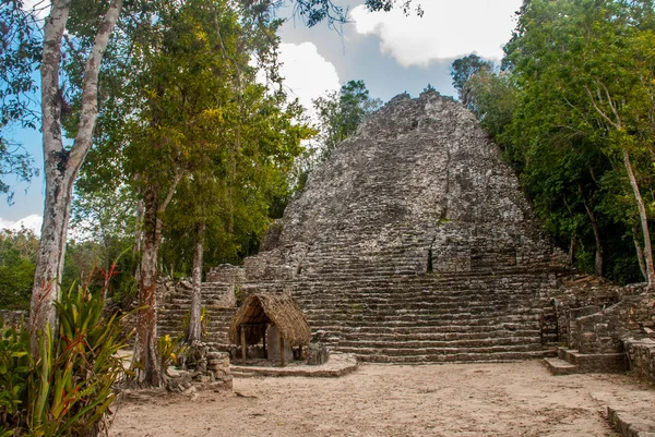 Jedním Působivých Kamenných Pyramid Coba Ruiny Starověkého Mayského Města Yucatán — Stock fotografie