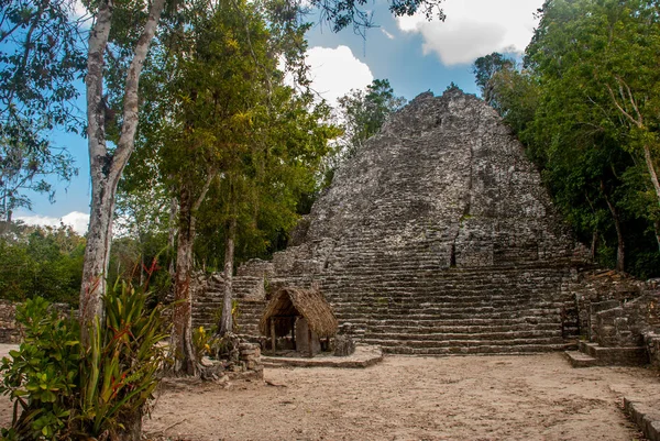 コバで印象的な石造りのピラミッドの つはユカタン半島 メキシコの古代マヤ都市の遺跡します — ストック写真