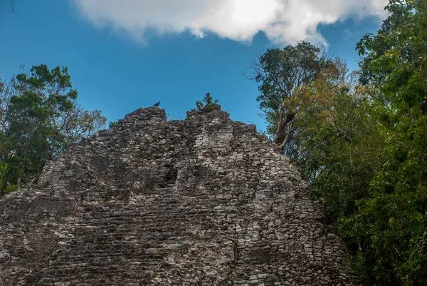 Kroky Pyramidy Jedním Působivých Kamenných Pyramid Coba Ruiny Starověkého Mayského — Stock fotografie